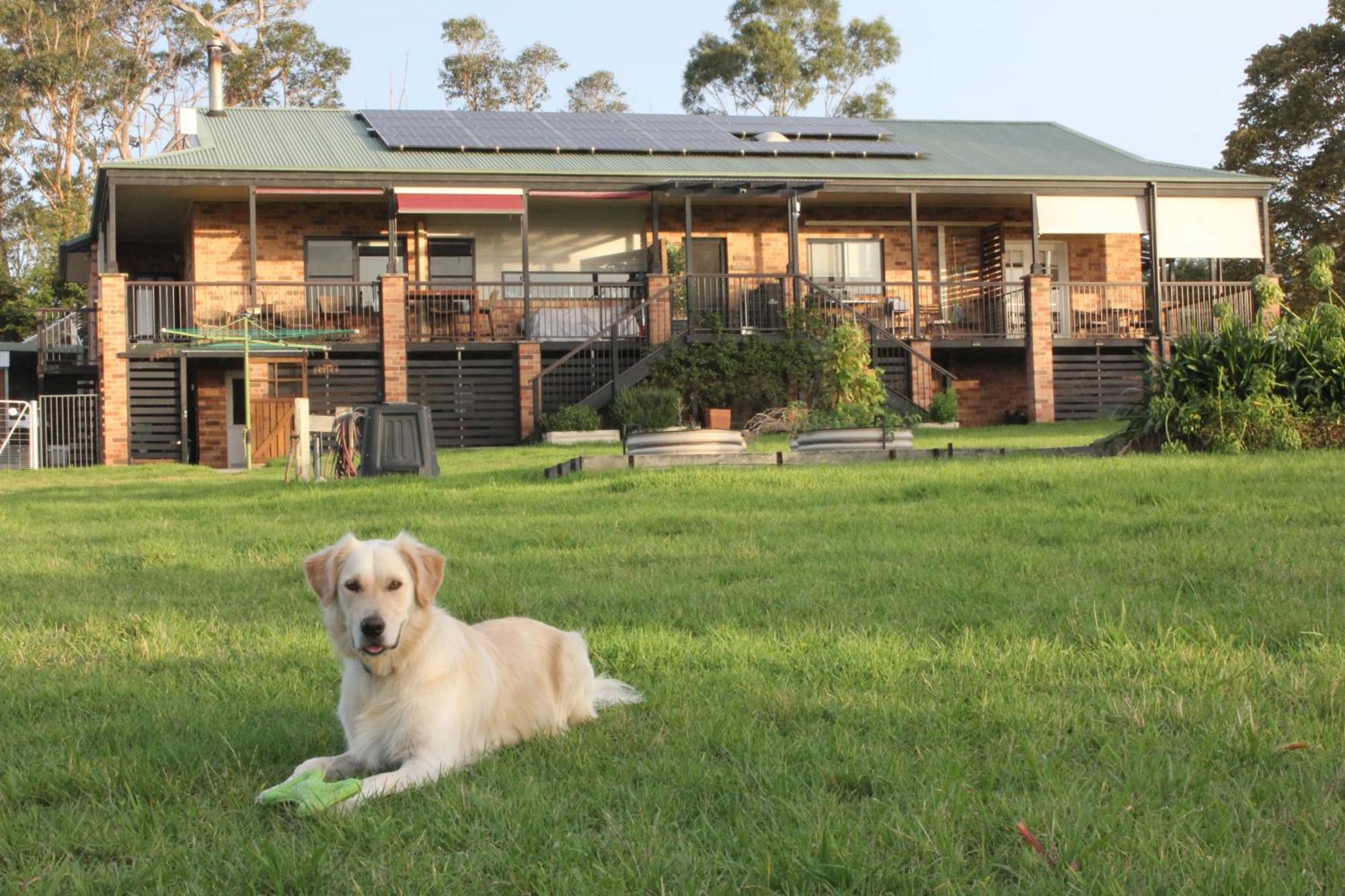 Bryn Glas Farm Stay Moruya Exterior foto