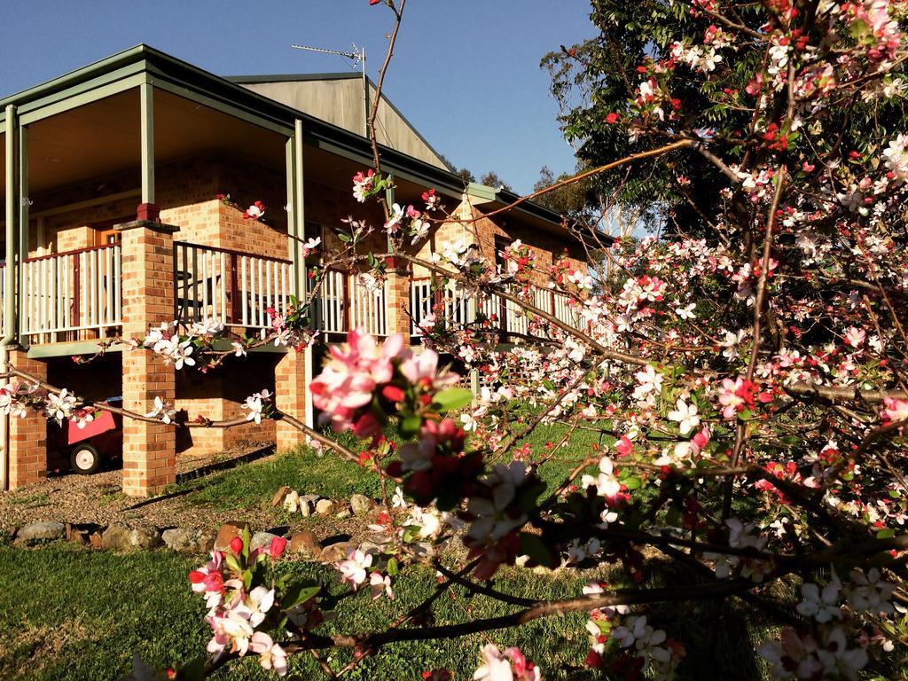 Bryn Glas Farm Stay Moruya Exterior foto