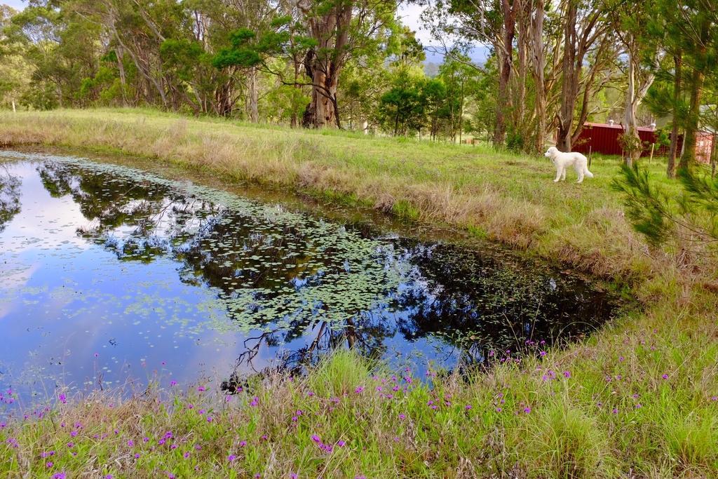 Bryn Glas Farm Stay Moruya Exterior foto