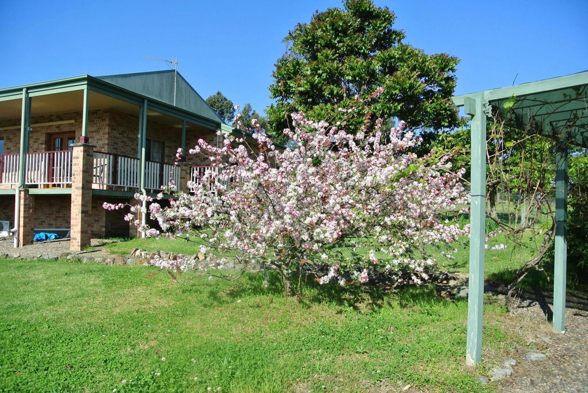 Bryn Glas Farm Stay Moruya Exterior foto