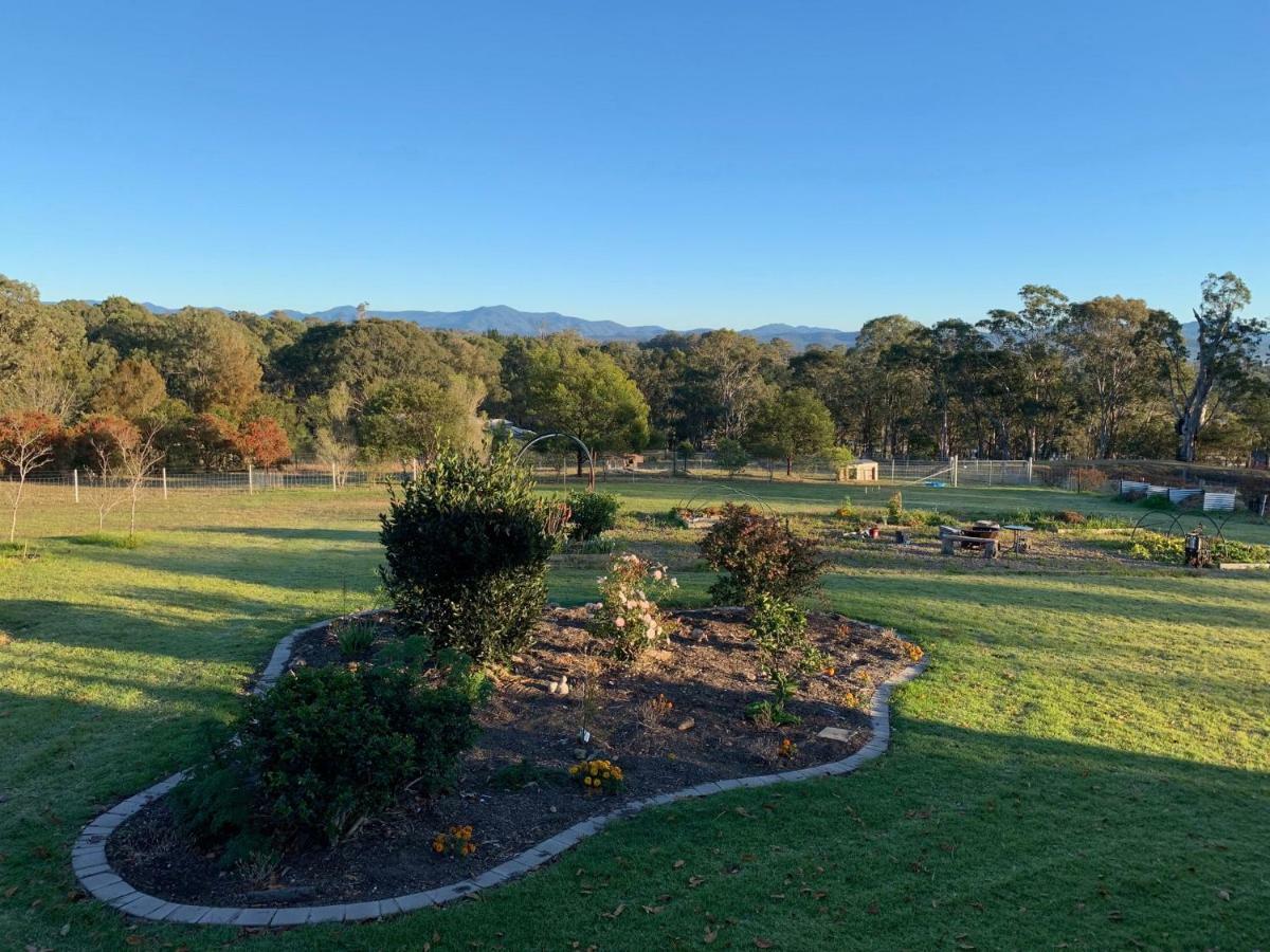 Bryn Glas Farm Stay Moruya Exterior foto