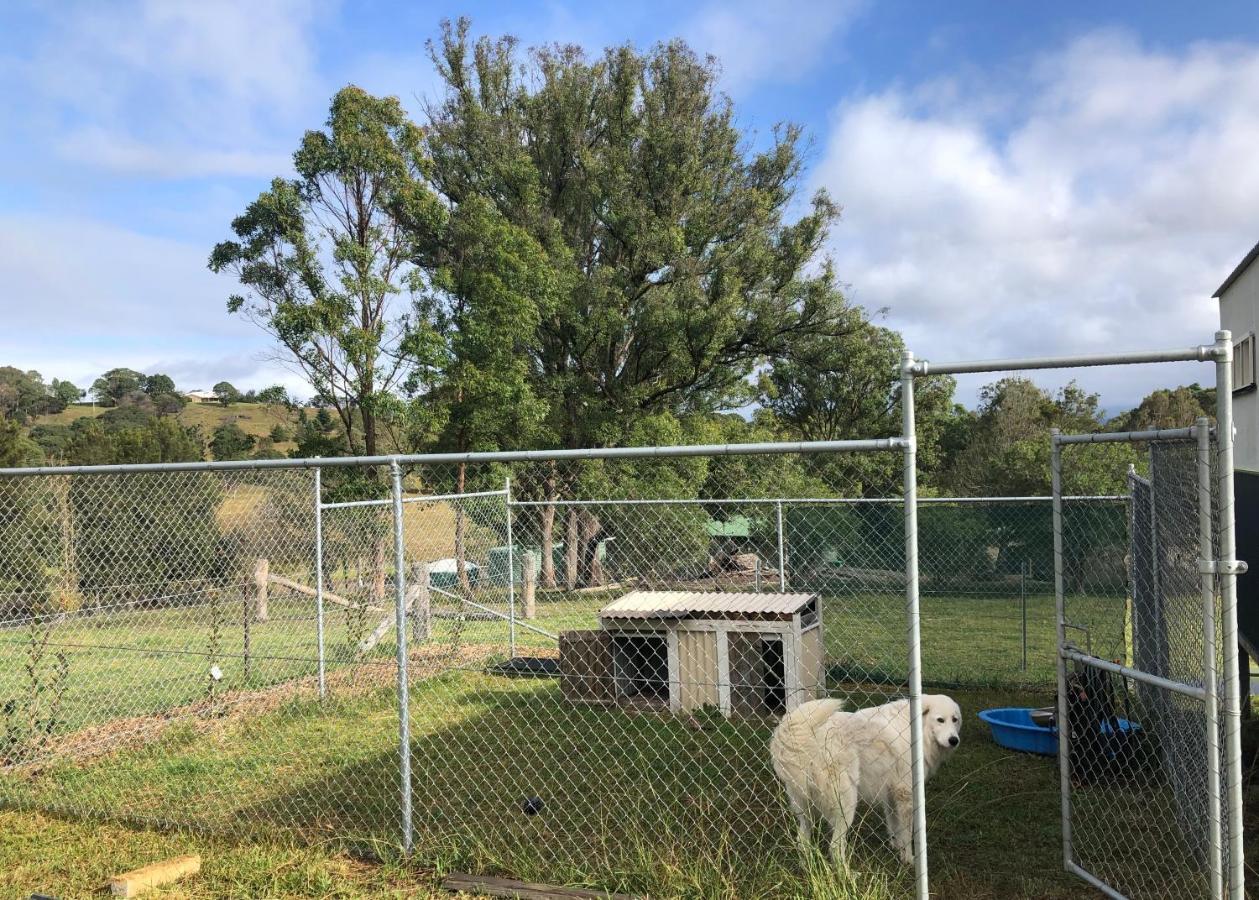 Bryn Glas Farm Stay Moruya Exterior foto